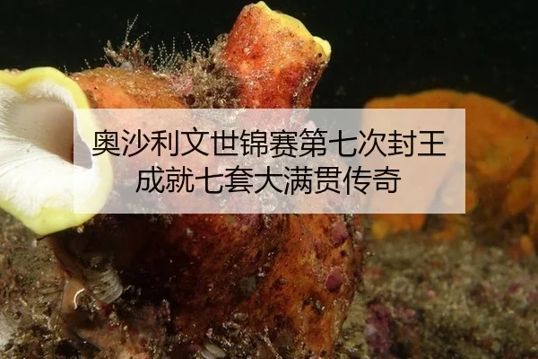 ao-sha-li-wen-shi-jin-sai-di-qi-ci-feng-wang-cheng-jiu-qi-tao-da-man-guan-chuan-qi-3-409.jpg